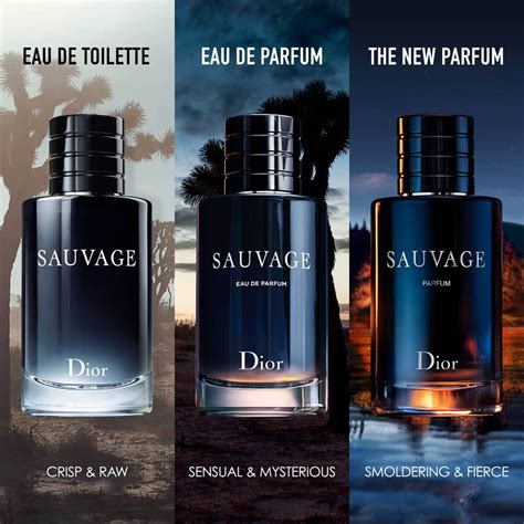 fragrances like Dior sauvage